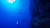 Qué es el extraño ‘oxígeno oscuro’ que encontraron en el fondo del mar y por qué las mineras están interesadas - La Tercera