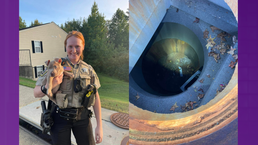 Stafford County deputies rescue 1-month-old puppy from sewer