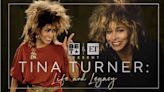 BET Sets Tina Turner Tribute Special For Tonight