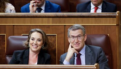 Núñez Feijóo, a Pedro Sánchez: "Un plan de regeneración democrática suyo es como un manual de buenas maneras del ministro Puente"