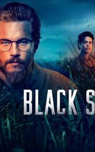 Black Snow (TV series)