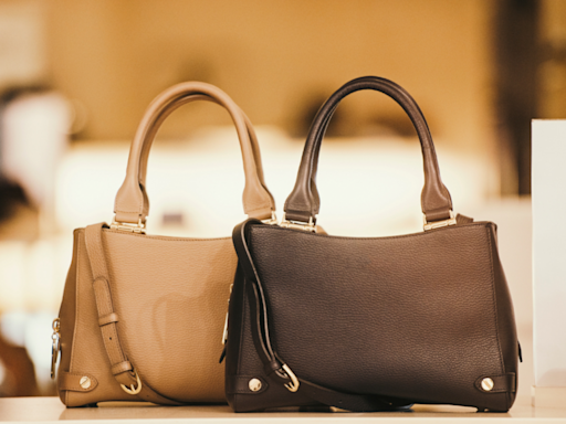 Best Branded Handbags That You Can Buy Online For Women - Times of India