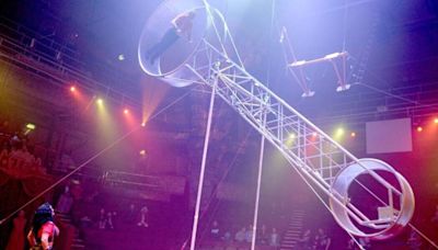 Circus performer falls from 'Wheel of Death' in front of horrified crowd