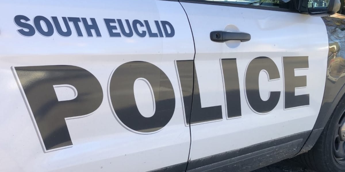 63-year-old woman stabbed to death in South Euclid domestic dispute, suspect arrested: Police