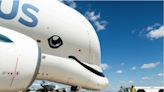 Airbus Beluga: avião com design inspirado em baleias ganha sua própria companhia aérea