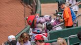 Heading to the ballpark? We've got tips for Lugnuts fans