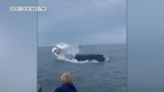 Ballena se estrella con pequeño barco; todo queda captado en video