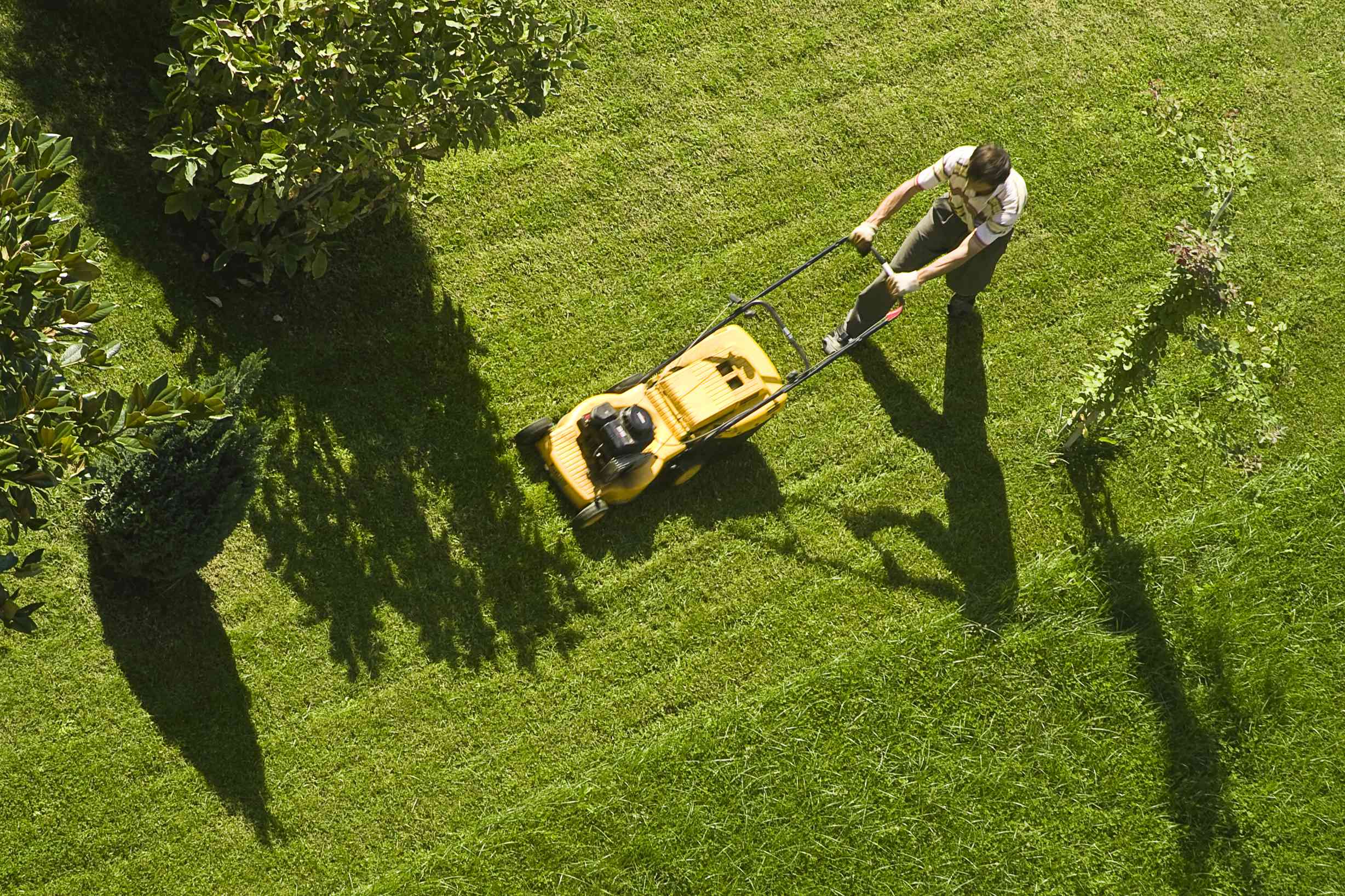 5 Common Lawn Care Mistakes Almost Everyone Makes