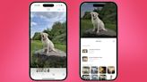 How to use Visual Look Up on iPhone: identify pets, plants, laundry tags, and more