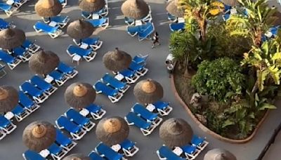 Holidaymakers race for prime pool-side loungers