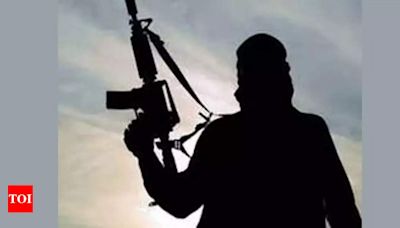 22 suspected terrorists arrested in Pakistan's Punjab - Times of India