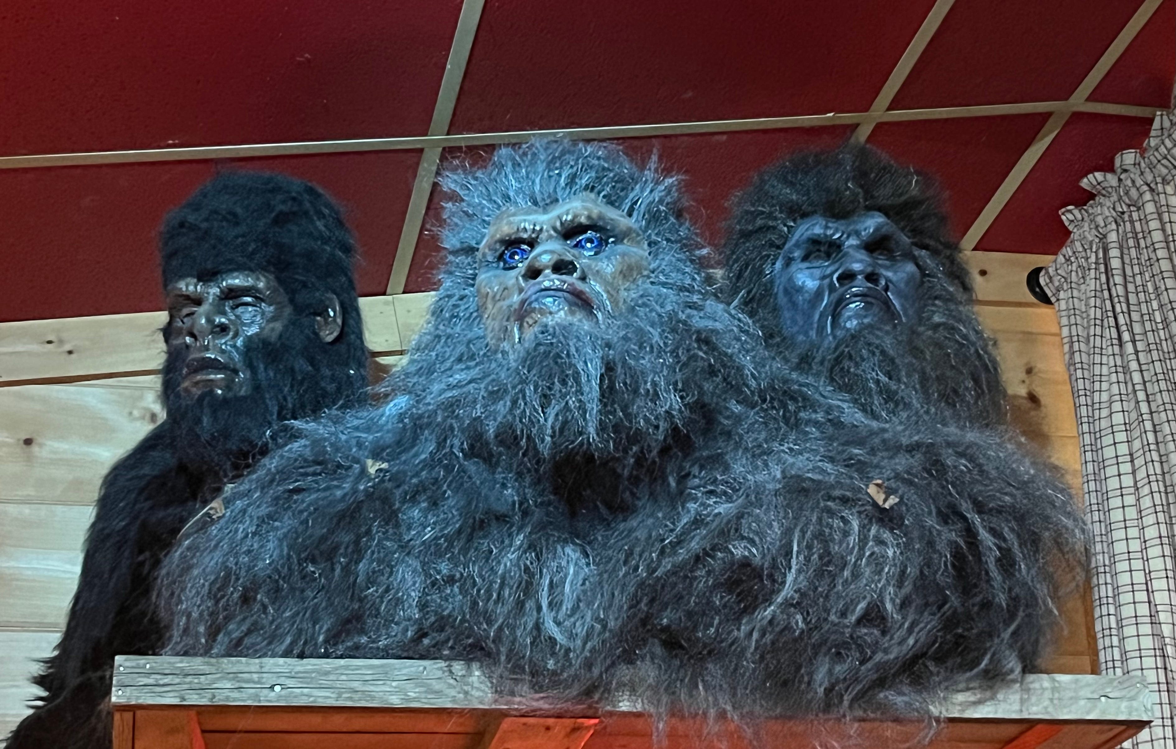 Stranger things in Georgia: Give your road trip some fun mystery at 'Expedition: Bigfoot!'