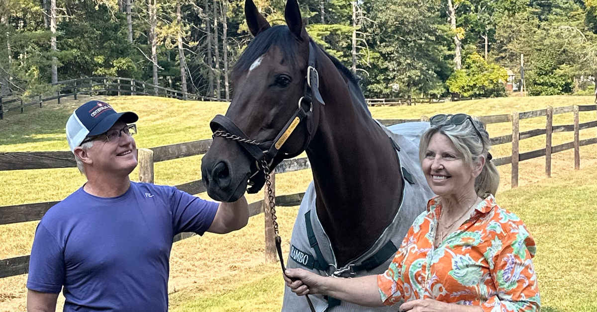 Kentucky Derby Runner Wicked Strong Pensioned To Racing Owner's Farm In Massachusetts