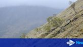 Ben Nevis footpaths and ancient woodlands to be restored through community project