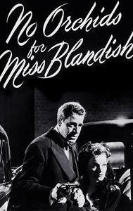 No Orchids for Miss Blandish (film)