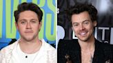 Niall Horan’s Fans Think His New Album ‘The Show’ Will Feature a Harry Styles Collaboration After One Direction Hiatus...