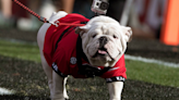 Georgia's Beloved Mascot 'Uga X' Has Sadly Passed Away