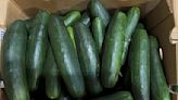 Companies Sued Over Cucumbers Linked to Salmonella Outbreak