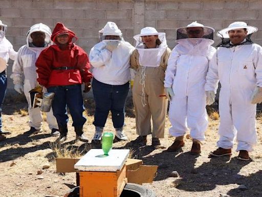 Reubica Municipio a más de 5 mil abejas a Facultad de Zootecnia