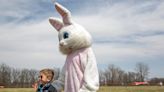 Easter egg hunts adults, toddlers: Things to do Easter weekend in Galesburg