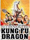 Return of the Kung Fu Dragon