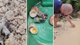 Video shows man saving marine life from restrictive plastic trash: ‘This world needs more people like this’