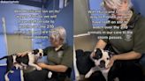 Hurricane Ian videos show Florida animal shelters prepping rescue dogs and pet owners locking down livestock