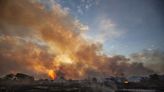 Incêndio no Pantanal põe pecuaristas em alerta