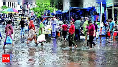 Off-season Travel Trend: Amdavadis Explore Rainy Days and Serene Stays | Ahmedabad News - Times of India