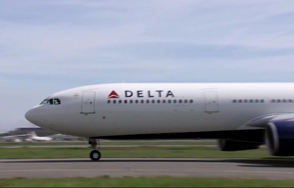 Delta Airlines flight to Amsterdam diverts to JFK Airport after spoiled food is served