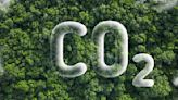 Cosmos Explains: What are carbon sinks?