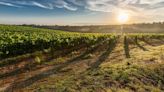 ASAJA Alicante exhibe la diversidad de la agricultura mediterránea ante la organización agraria de mayor relevancia de Bélgica