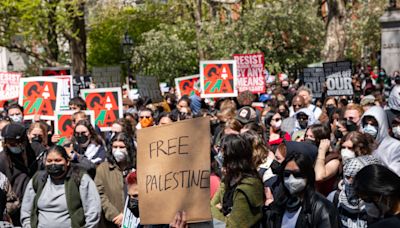 Art Students and Faculty Rally at U.S. University Pro-Palestine Protests