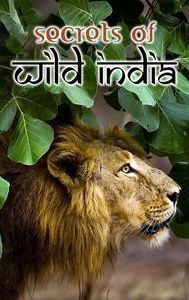 Secrets of Wild India