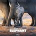 Elephant [Original Soundtrack]