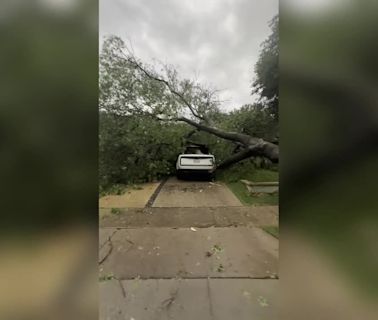 Dallas weather: Storms leave trail of damage in North Texas