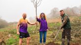 1,400 trees planted at Cornish attraction - one for every marathon runner