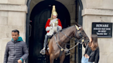 Watch: Remember King’s Guard Horse Who Bit Tourists? Now We Know His Favourite!