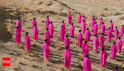 Ladakh's Land Art Exhibition Promoting Climate Optimism | - Times of India