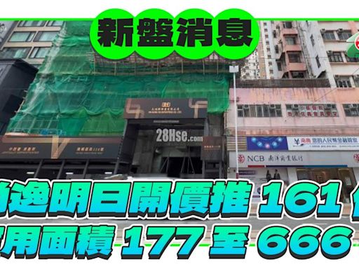 尚逸最快明開價 推161伙實用面積177至666平方呎