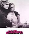 The Dove (1974 film)