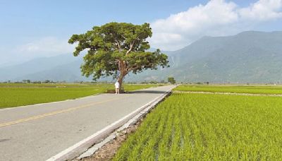 6月住台東抽萬元旅遊金開獎 近700名幸運兒名單出爐 - 生活