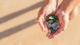 Sea glass, a treasure formed from trash, is on the decline as single-use plastic takes over