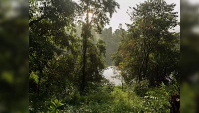 Lonavala waterfall tragedy leads to prohibitory orders at several picnic places in Pune