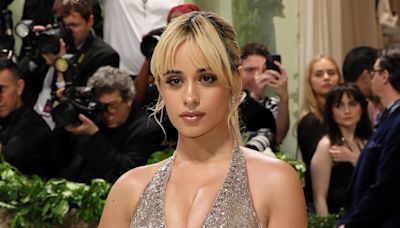 Camila Cabello Clutches a Block of Ice on Red Carpet at Met Gala 2024