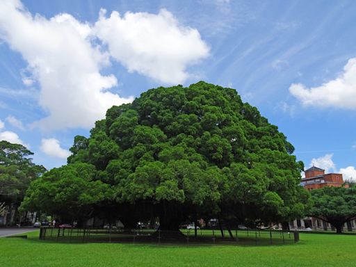 成功大學與美商英特爾簽署專利訂閱合作協議