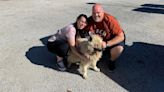 Los dueños de Lua se reencuentran con su perra tras cuatro años perdida: "Pasa de hija única a familia numerosa"