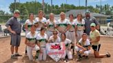 West Michigan 12U Shamrocks win NSA State Title