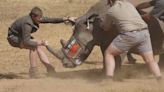 Proyecto de investigación para proteger a los rinocerontes en Sudáfrica