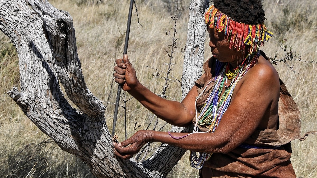 What it's like to go on a bushwalk in the Kalahari desert